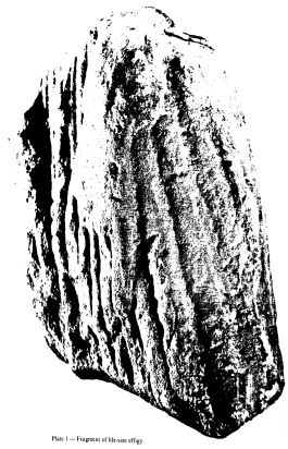 clip_image002