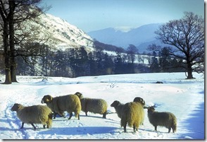glens-of-antrim-winter-scene-sandy-brannigan